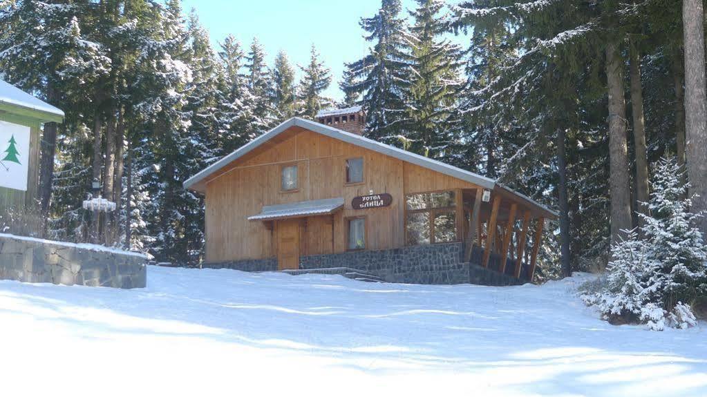 Elitza Villa Pamporovo Exterior foto